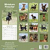 Miniature Pinscher Calendar